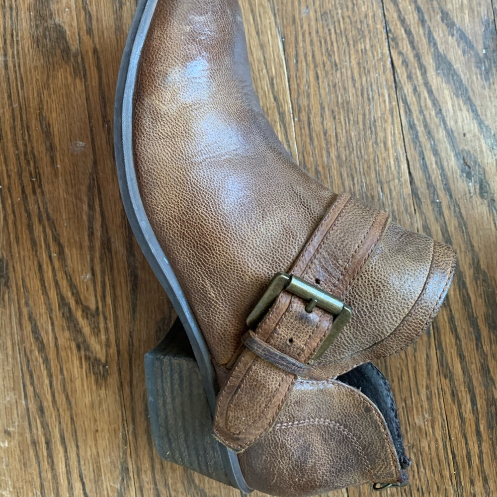 Steve Madden Booties